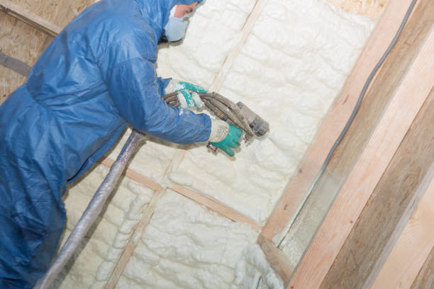 Types of Insulation We Offer in Staples, CT